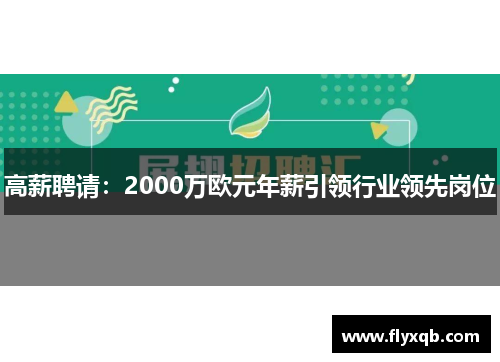高薪聘请：2000万欧元年薪引领行业领先岗位