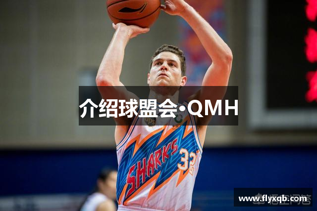 介绍球盟会·QMH